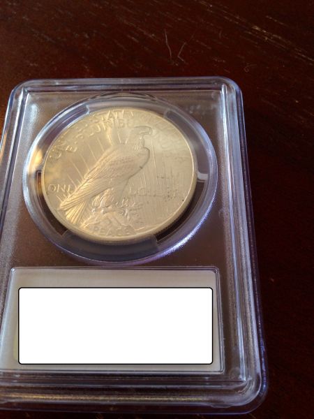 You-Vs-PCGS---Peace-Dollar-1926-P