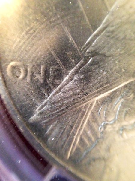 You-Vs-PCGS---Peace-Dollar-1926-P
