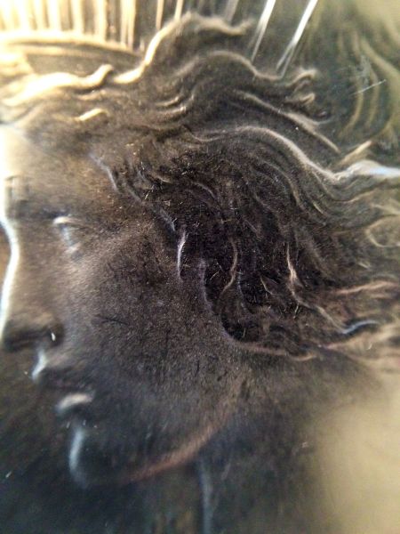 You-Vs-PCGS---Peace-Dollar-1926-P