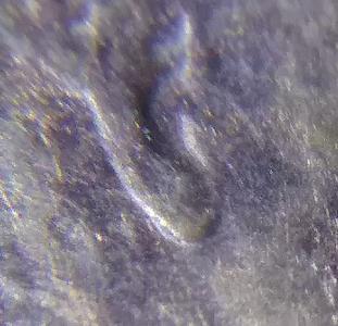 2013-D-Small-Doubled-Ear