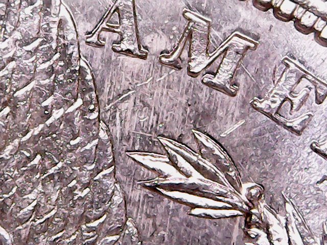 1881-S-Morgan-Dollar-Error/Variety...vam-World-Let-Me-Down.-Can-You-Help?