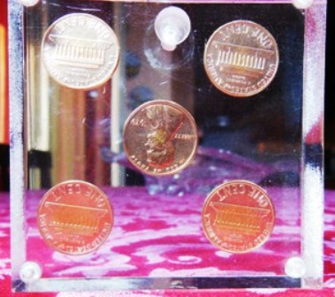 One-Cent-1979-Axis-Shift.