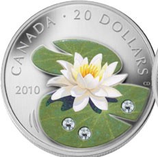 New-Issued-Rhododendron-Crystal-Dew-Drop