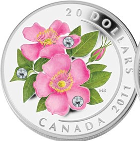 New-Issued-Rhododendron-Crystal-Dew-Drop