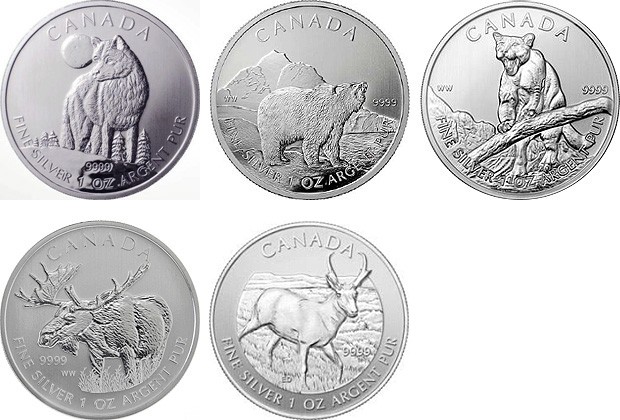 Pronghorn-Antelop---Coin-#-5-In-The-Wildlife-Bullion-Series