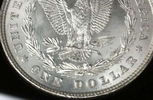 1878-Morgan-Dollar-Set.--Pics-Of-CC