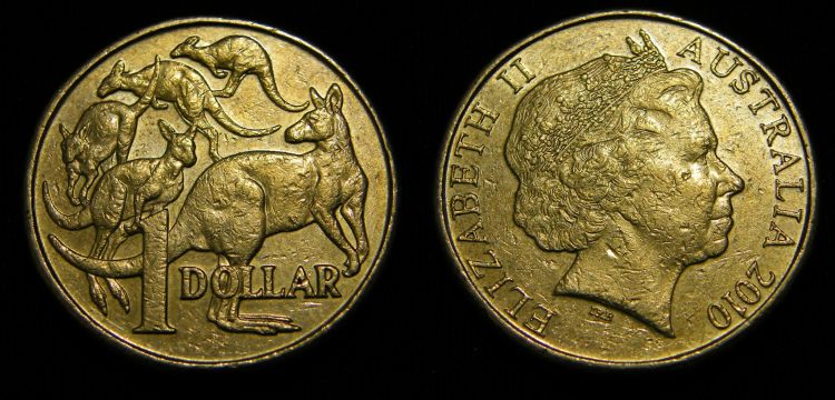 A-2010-$1-Pony-Tail-Roo!.