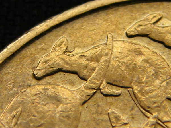 A-2010-$1-Pony-Tail-Roo!.