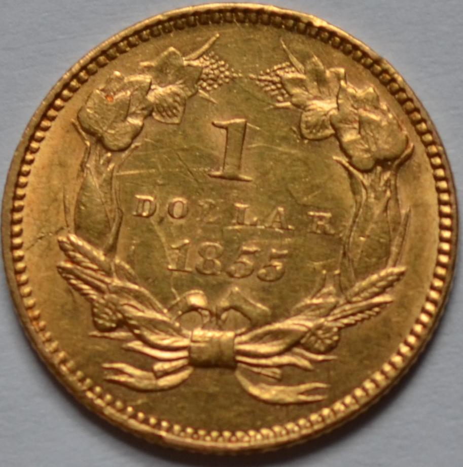 Would-This-Grade-As-Damaged?-1855-Indian-Princess-Small-Hea