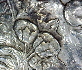 1878-CC-VAM-6?