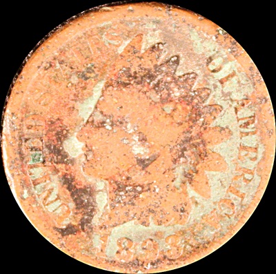 Oldest-Find-1893-IHP