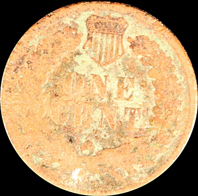 Oldest-Find-1893-IHP