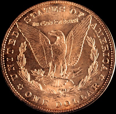 1889-Morgan-Help-Updated-Pics