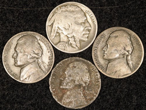 Buffalo-And-Silver