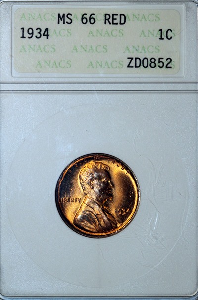 Coin-Club-Steal