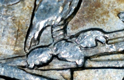 1889-Morgan-VAM-26?