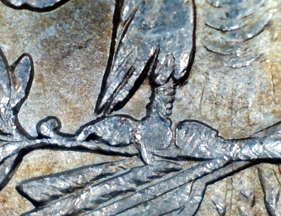 1889-Morgan-VAM-26?