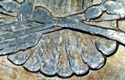 1889-Morgan-VAM-26?