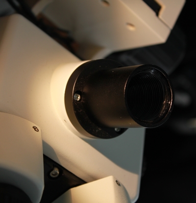 Focus-Help-Amscope--Thanks