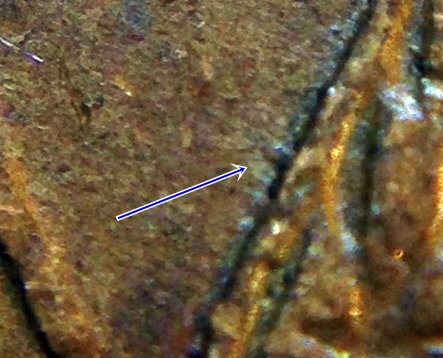 1957-D-1MM-003-Top-100