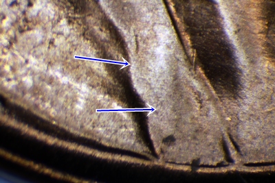 1955-D-1MM-020