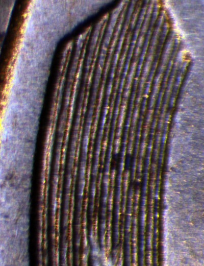 1955-S-1MM-001