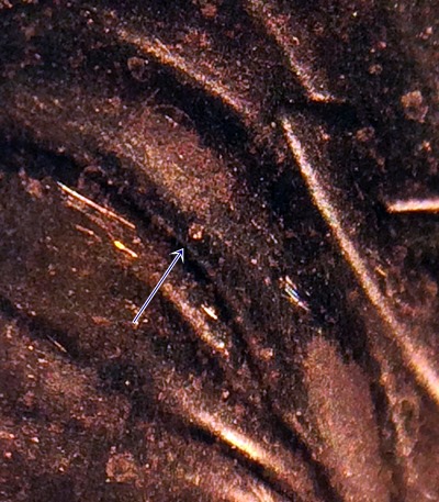 2009-1-DR-012-Found