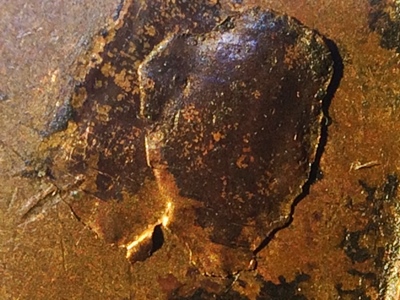 1952-S-Lamination-Found