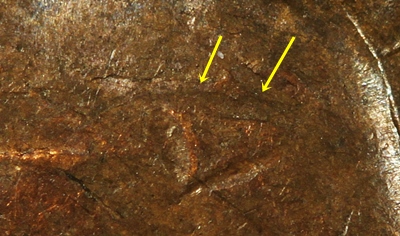 Ldb4-1951-D-003-Found