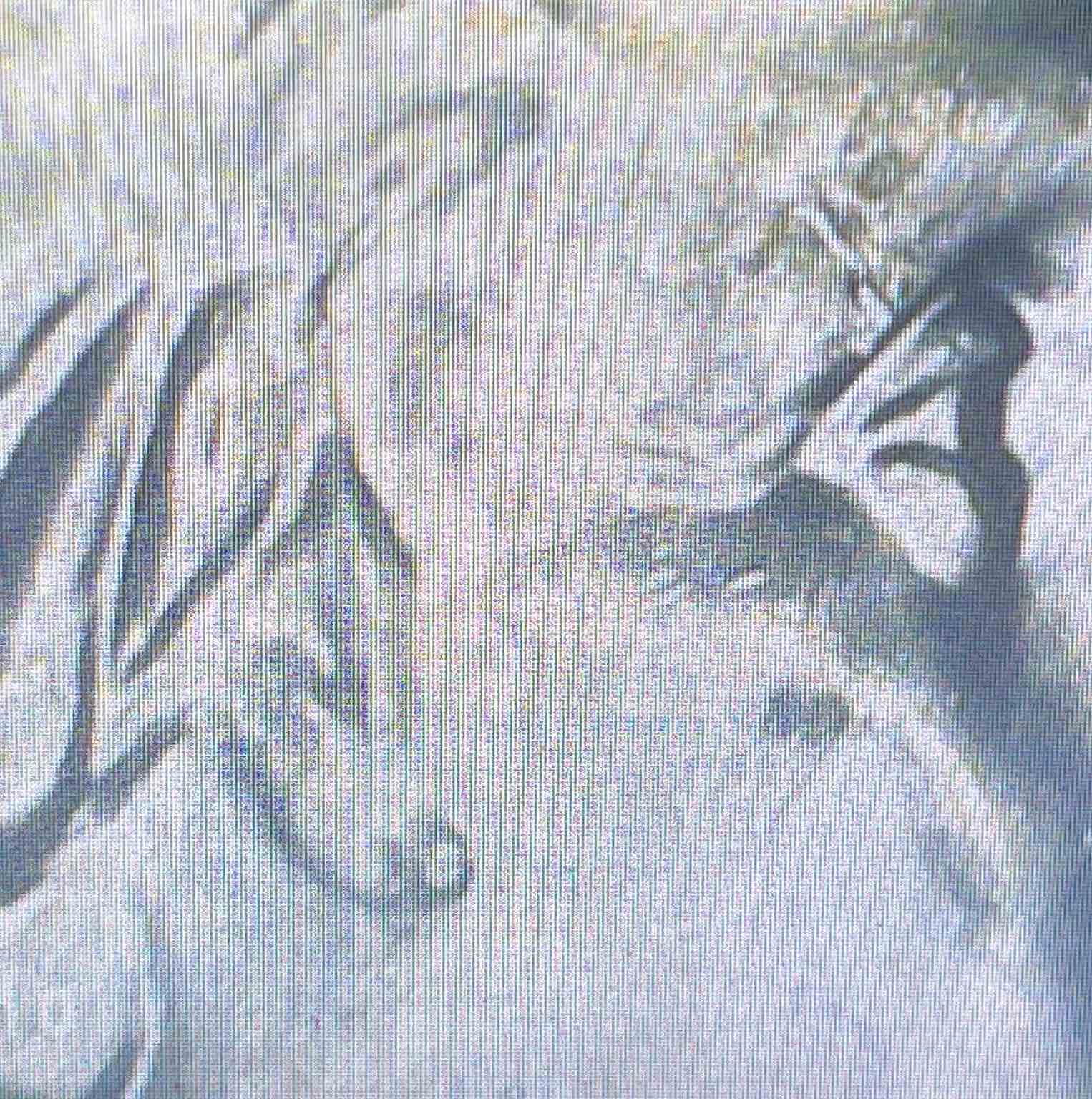 2022-P-Wilma-Mankiller-Quarter---Weird-Object?