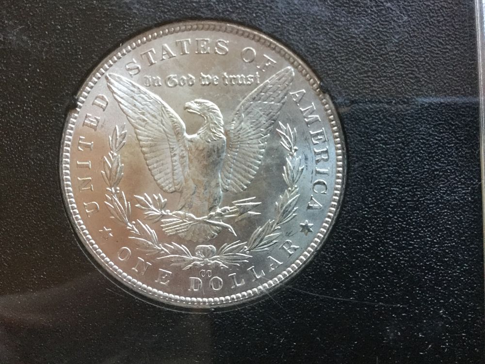Noobie-Coin-Guy-Looking-For-Some-Help-With-Morgan's