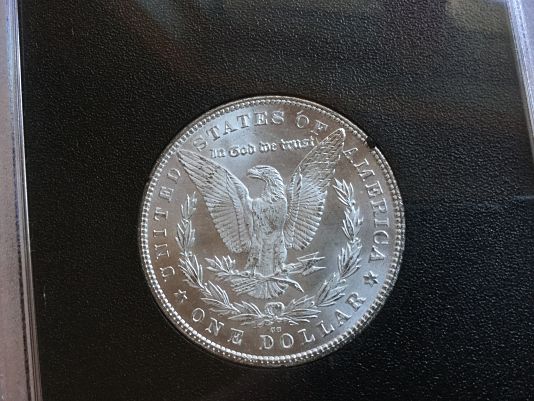 Noobie-Coin-Guy-Looking-For-Some-Help-With-Morgan's