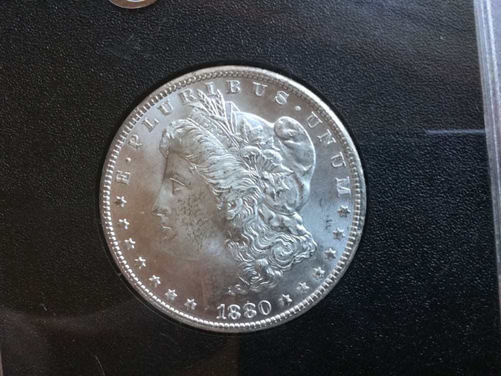 Noobie-Coin-Guy-Looking-For-Some-Help-With-Morgan's