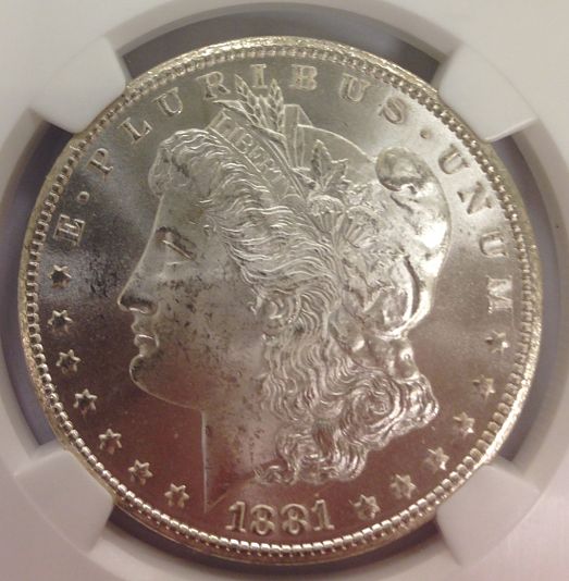 Noobie-Coin-Guy-Looking-For-Some-Help-With-Morgan's