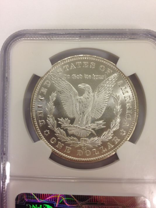 Noobie-Coin-Guy-Looking-For-Some-Help-With-Morgan's