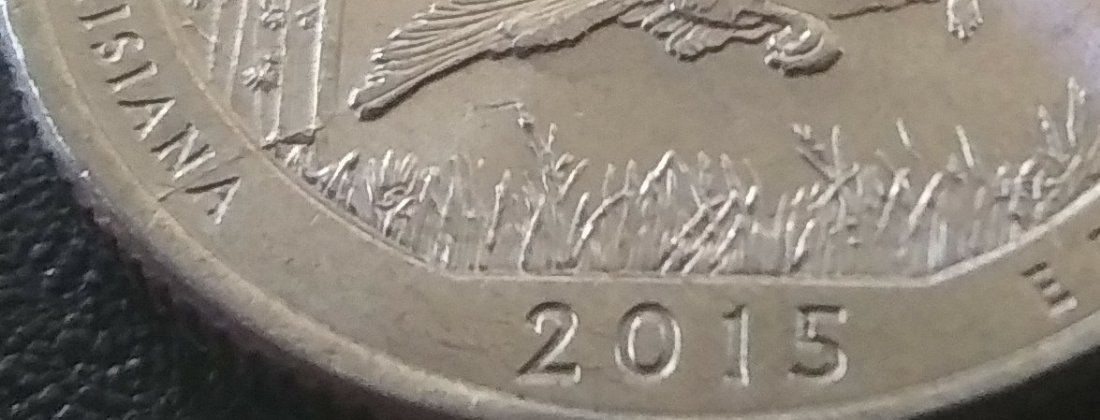Scared-Me!-My-2015-Louisiana-Turkey-Quarter