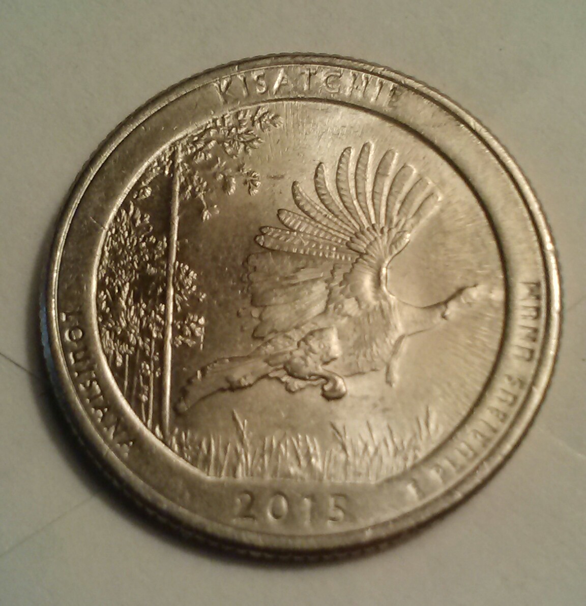 2015-P-Kisatchie-Is-It-A-MD-Or-DD