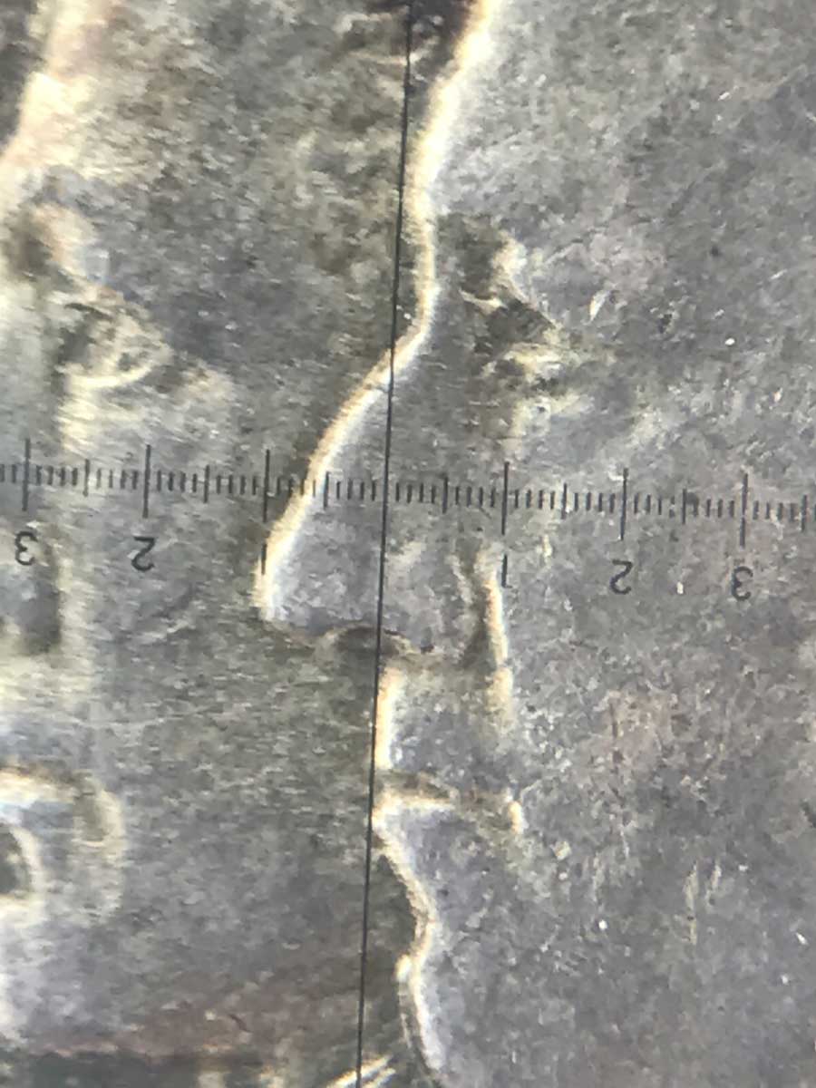 1921-Alabama-2x2-Commemorative-Half-Dollar---Guess-The-Grade