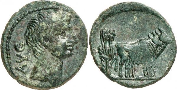 Identifying-Ancient-Greek-Coins-#6