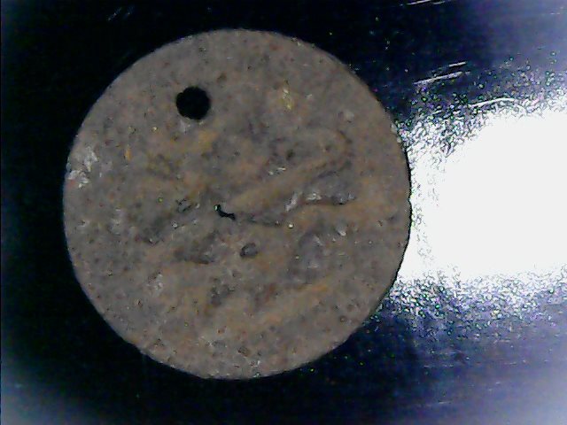 Help-Indetifying-Scuba-Diving-Find-Belly-Dancer-Token