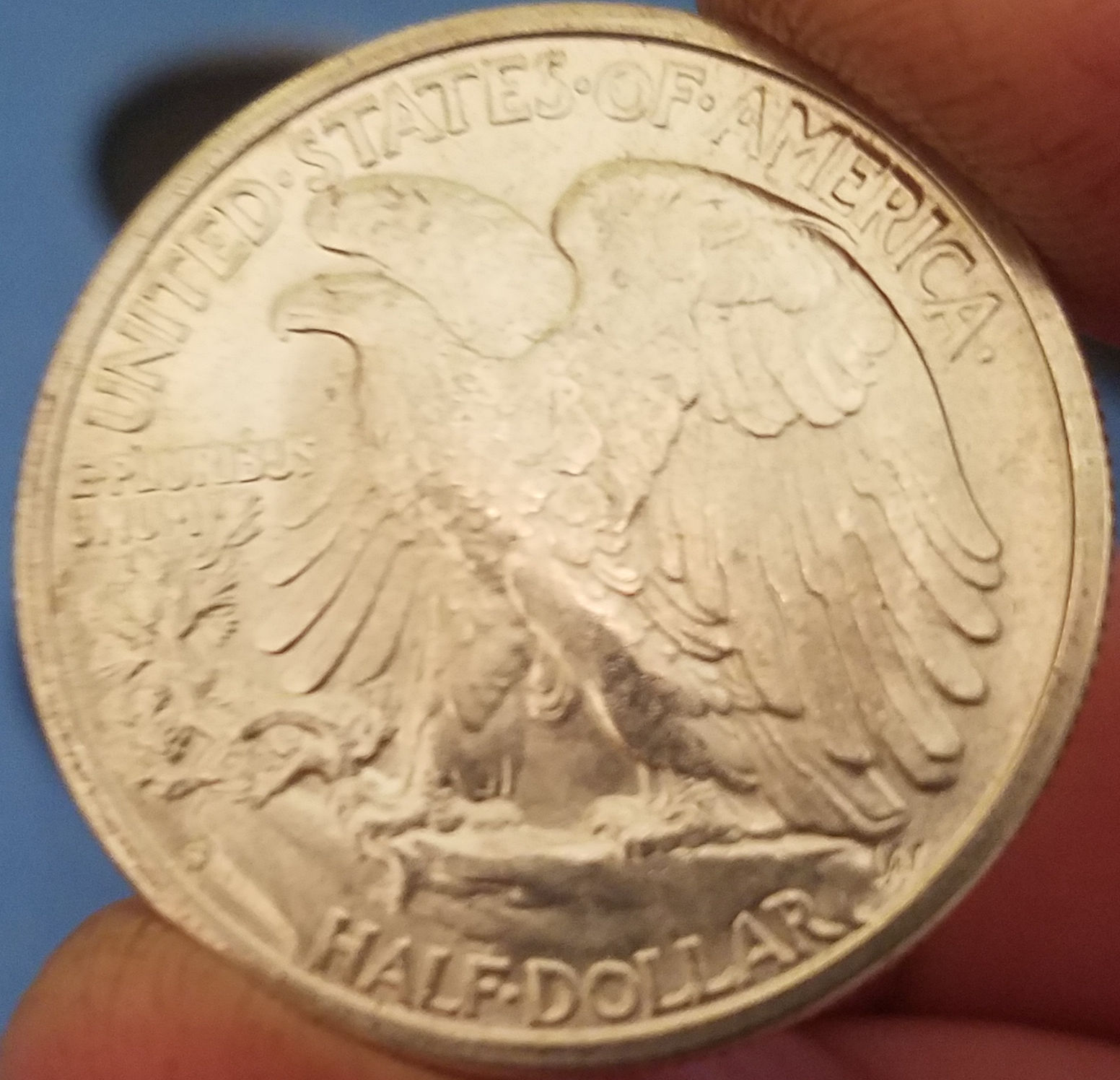 1944-S-Walking-Liberty-Half-Dollar-Grade-Opinion