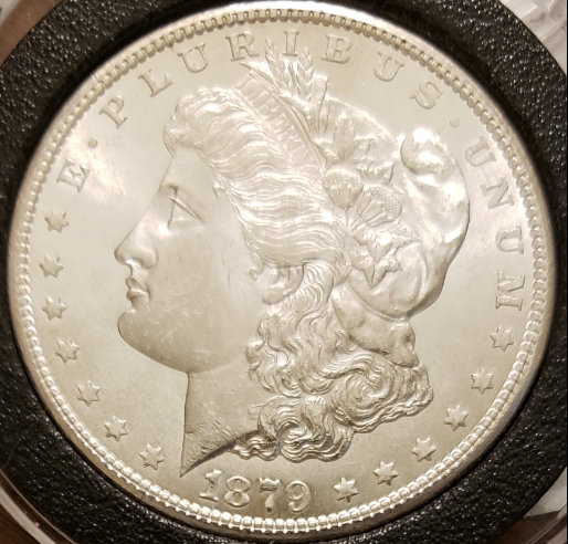 1879-S-Morgan,-Please-Grade