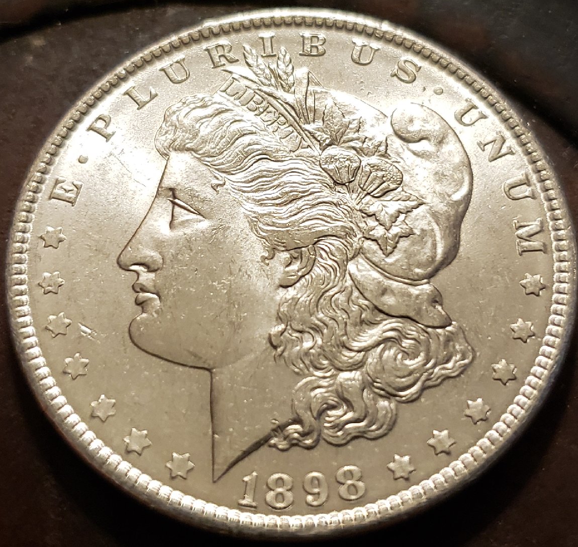 1898-Morgan-Dollar,-Please-Grade