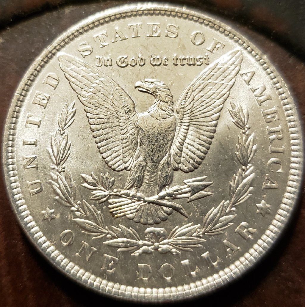 1898-Morgan-Dollar,-Please-Grade