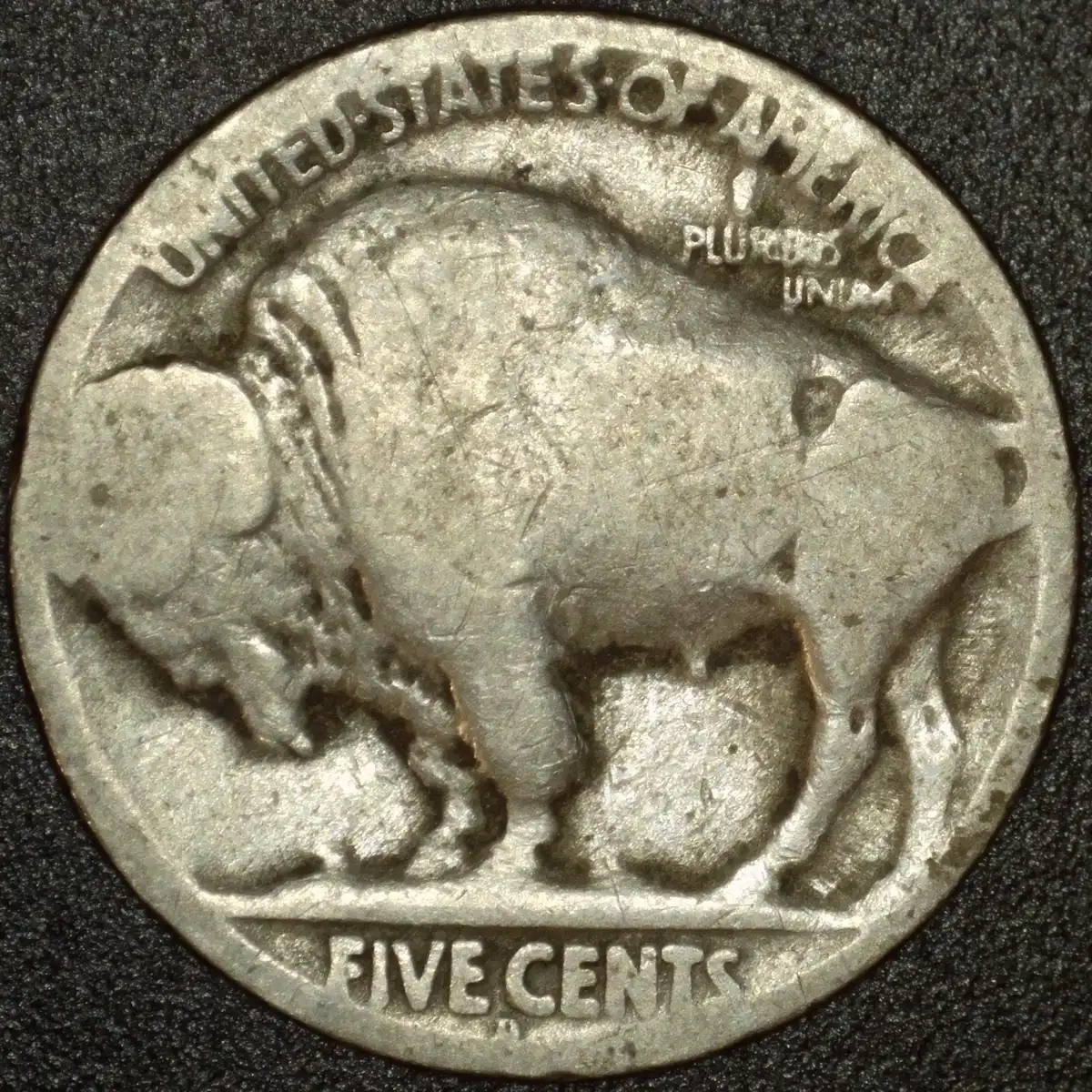 Potential-Buffalo-Nickel-RPM