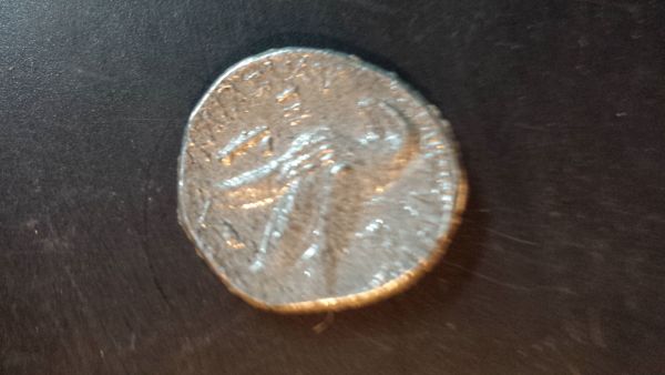Can-You-Help-Me-Identify...