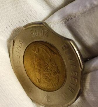 2005-Toonie-With-3-Clips?