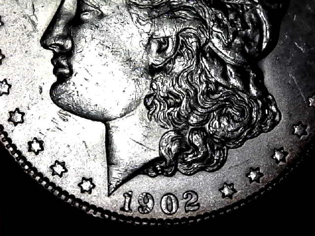 1902-O-Morgan-Dollar-For-Grading