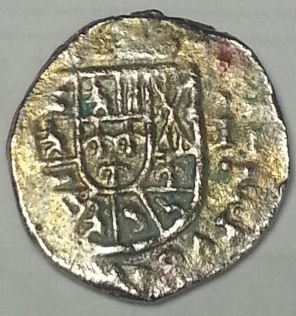 Spanish-Cob?
