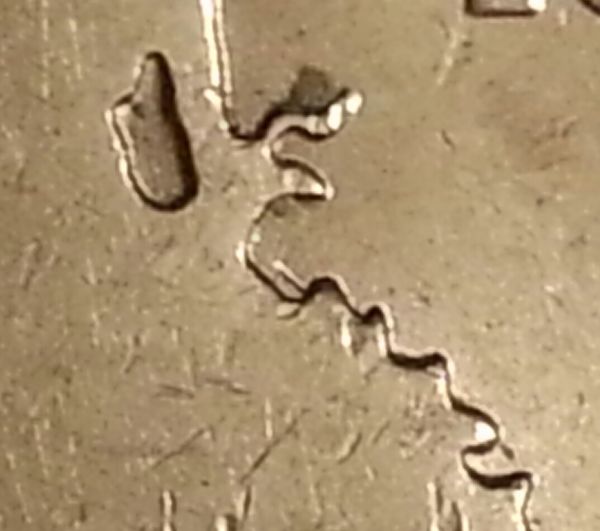 Wyoming-Quarter-Pooping-Horse